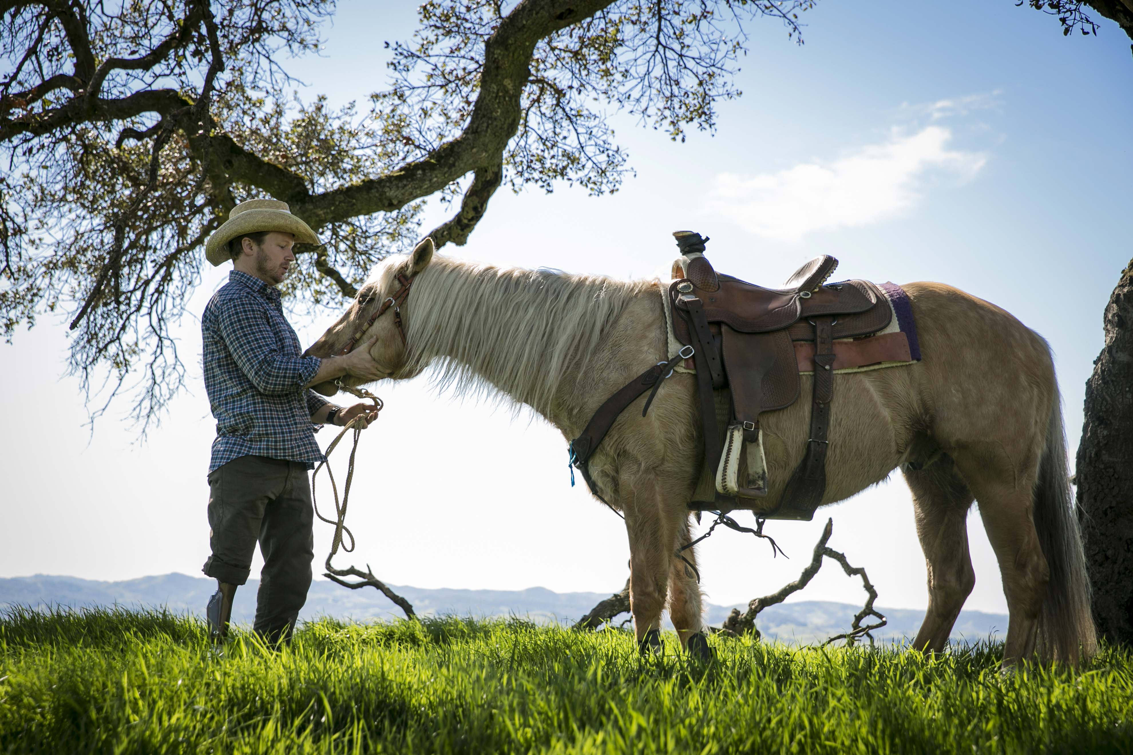 Robert 1 Lim Innovations